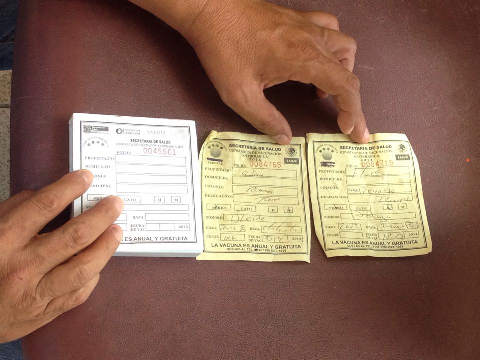 Denuncian falso personal de Centro Antirrábico