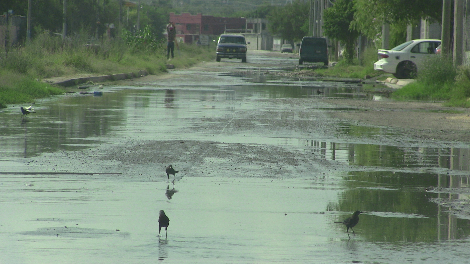 Años sin dar solución a calle