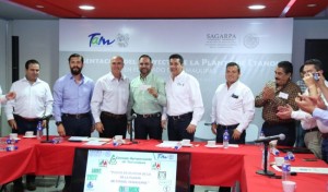 TAM-190-2017.-Tamaulipas-contará-con-planta-de-biocombustibles-a-base-de-sorgo.doc-850x500