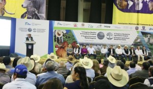 TAM-023-2018.-Inaugura-Gobernador-Congreso-Mundial-de-Ganadería-y-Agricultura-en-Tampico6-850x500