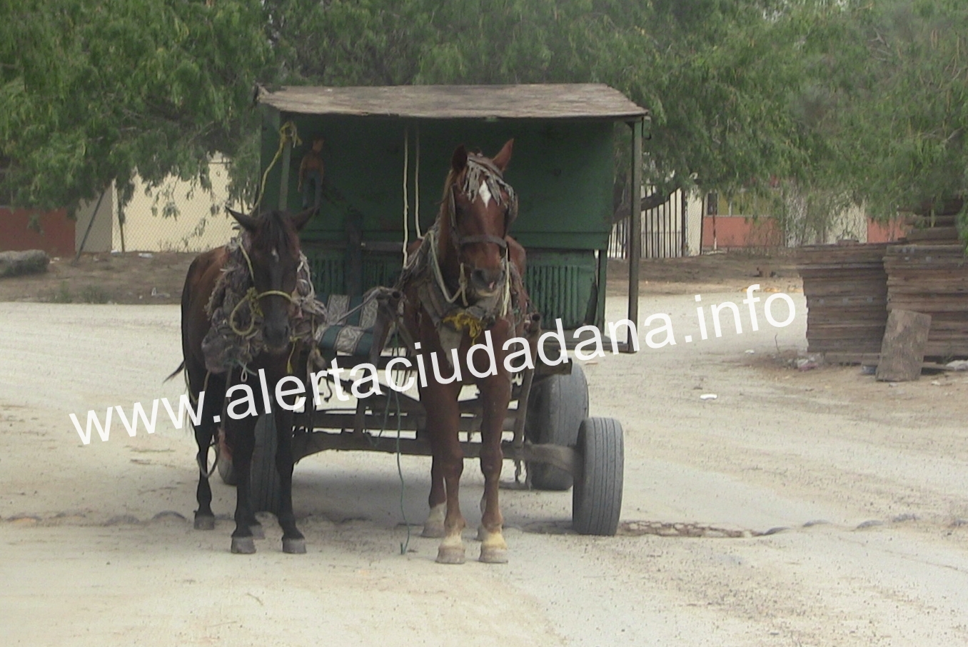 VIDEO…Quieren retirar mil carretoneros