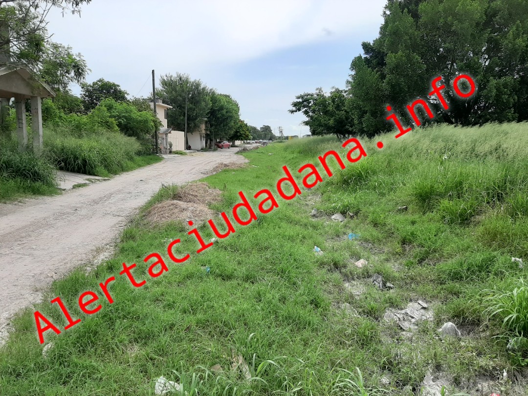 Piden limpieza en drenes y canales de río bravo
