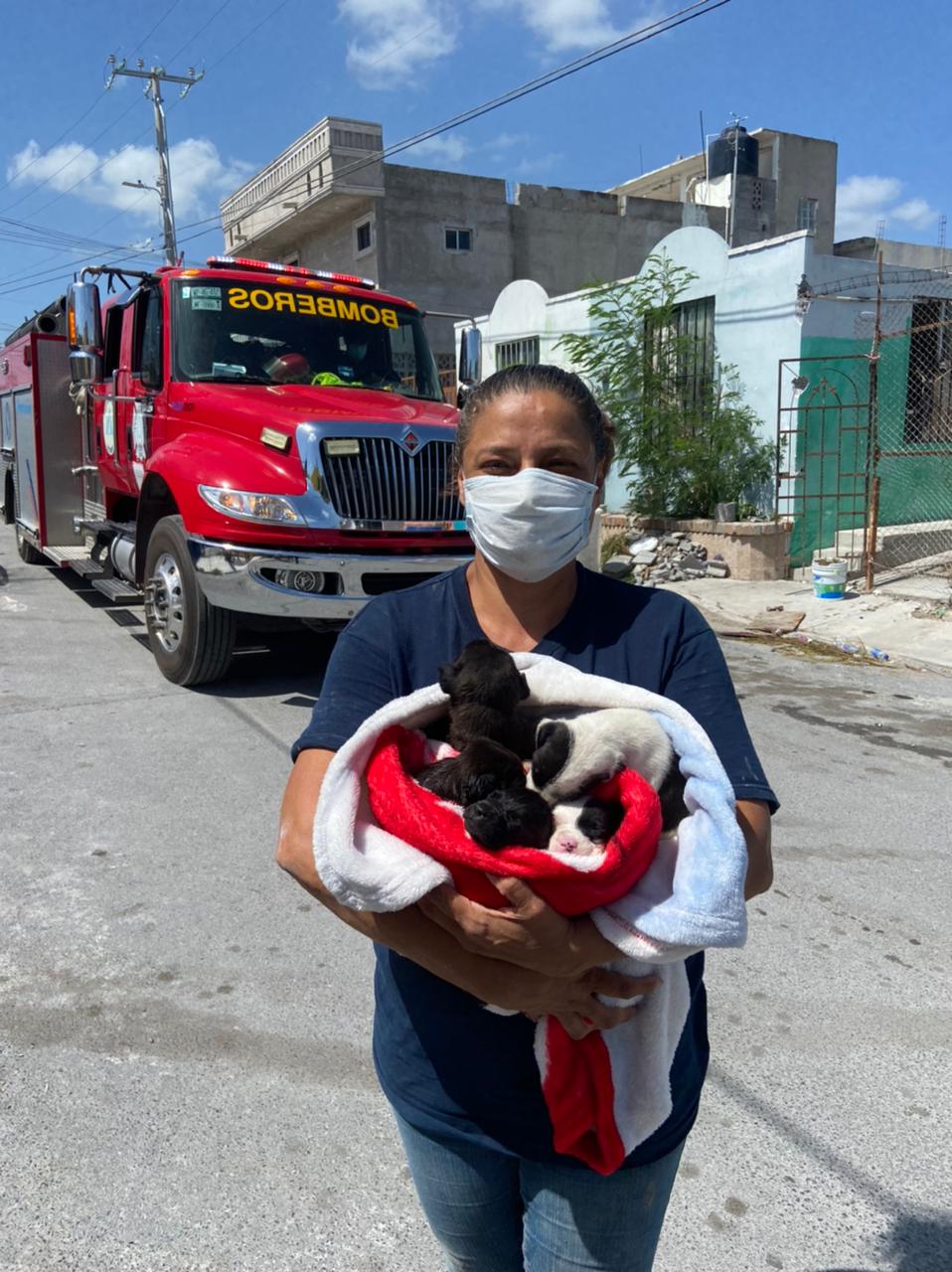 Rescatan 3 cachorros tras 7 horas de esfuerzo ciudadanos-Municipio